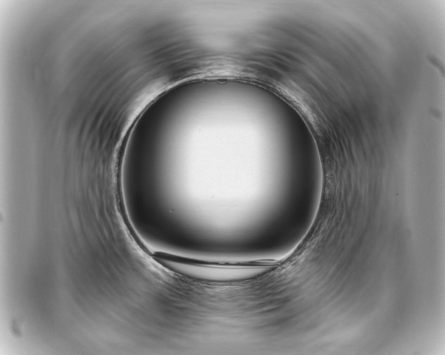 X0000097291483200802221300