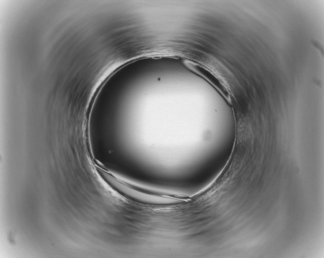 X0000097291484200802221300