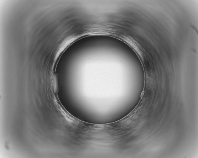 X0000097291485200802221300
