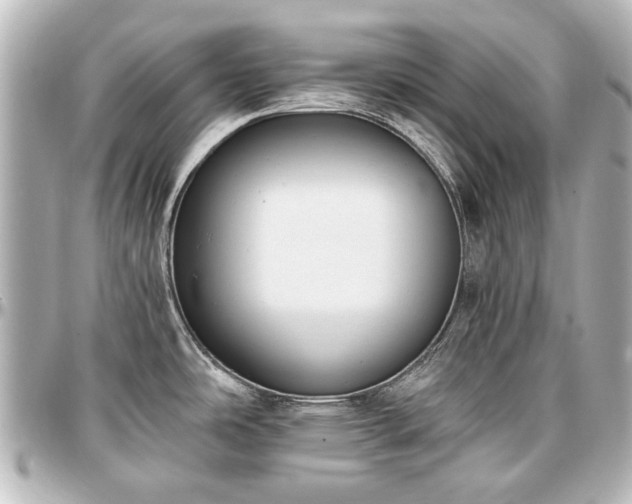 X0000097291486200802221300