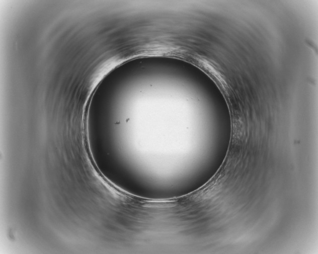 X0000097291487200802221300