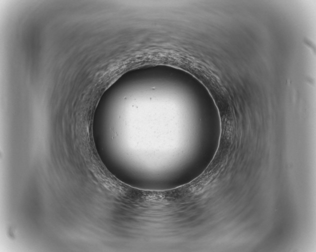 X0000097291489200802221300