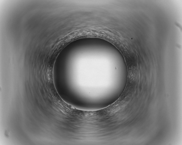 X0000097291490200802221300