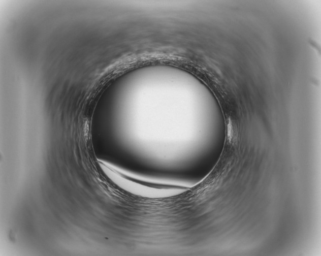 X0000097291492200802221300