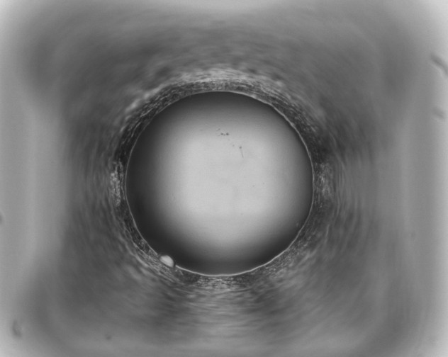X0000097291493200802221300