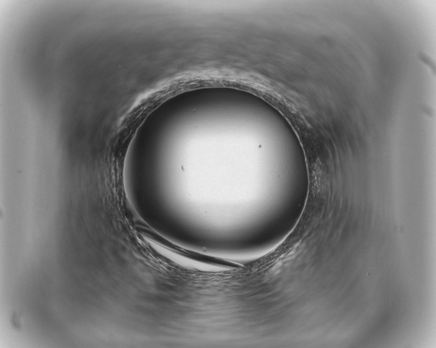 X0000097291494200802221300