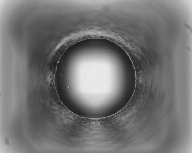 X0000097291495200802221300