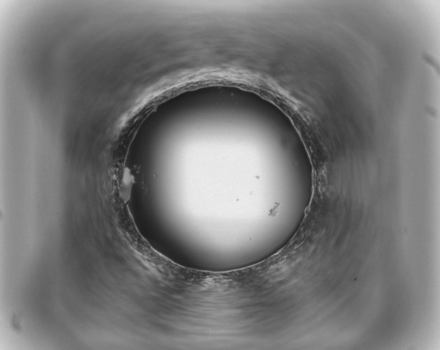 X0000097291496200802221300