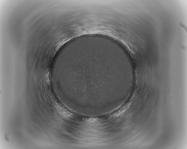 X0000097291497200802221300