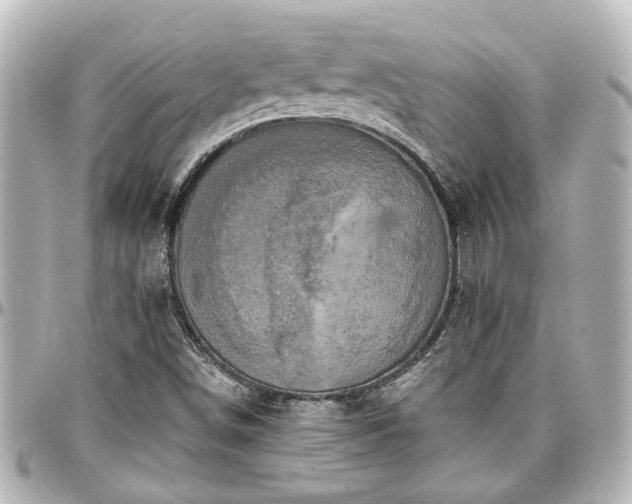 X0000097291498200802221300