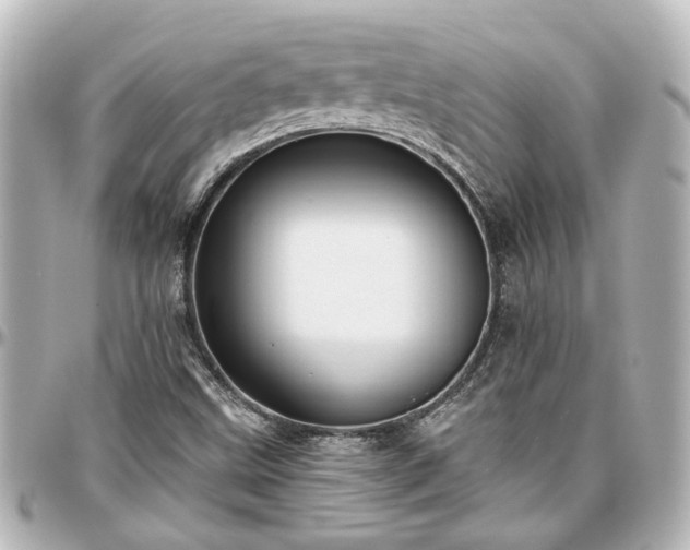 X0000097291499200802221300