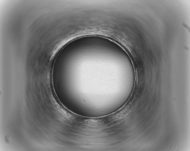 X0000097291500200802221300