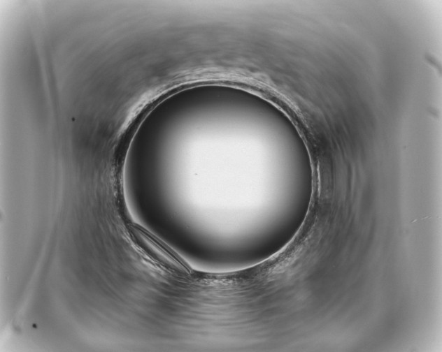 X0000097291501200802221300