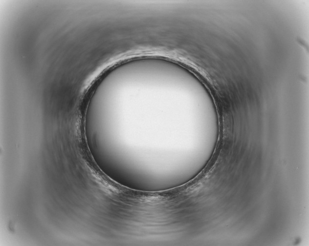 X0000097291502200802221300