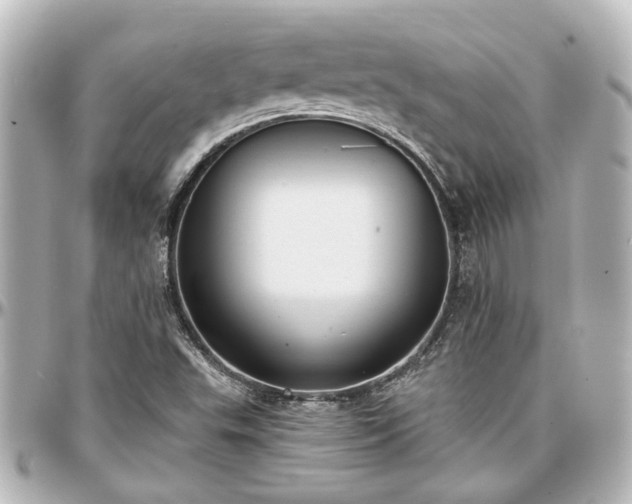 X0000097291503200802221300