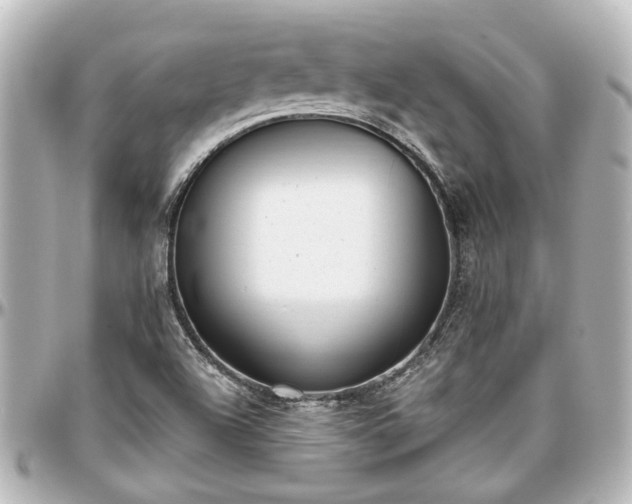 X0000097291504200802221300