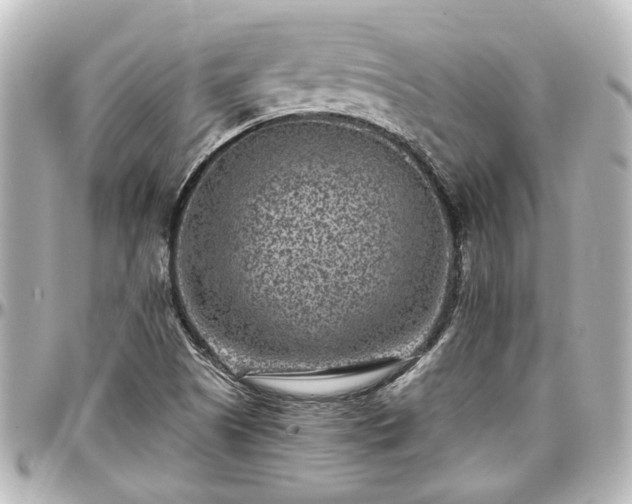 X0000097291505200802221300