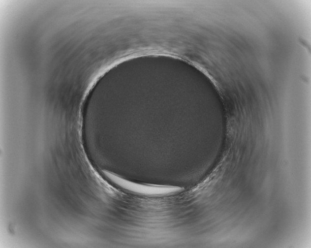 X0000097291508200802221300
