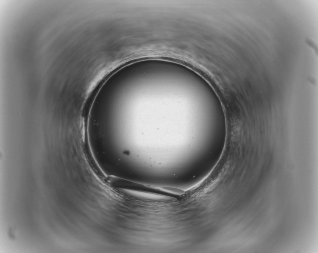 X0000097291509200802221300