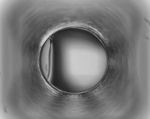 X0000097291512200802221300