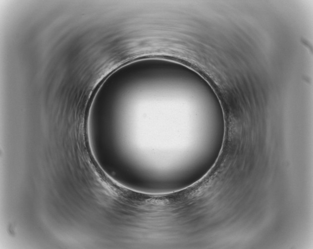 X0000097291513200802221300