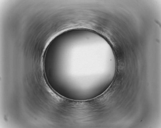 X0000097291516200802221300