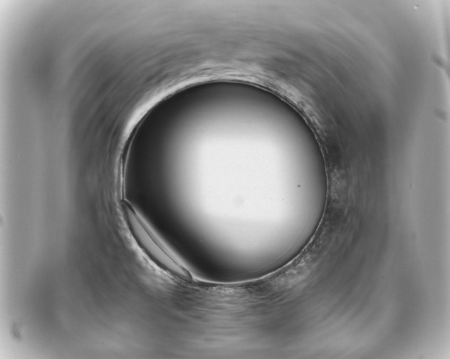 X0000097291520200802221300