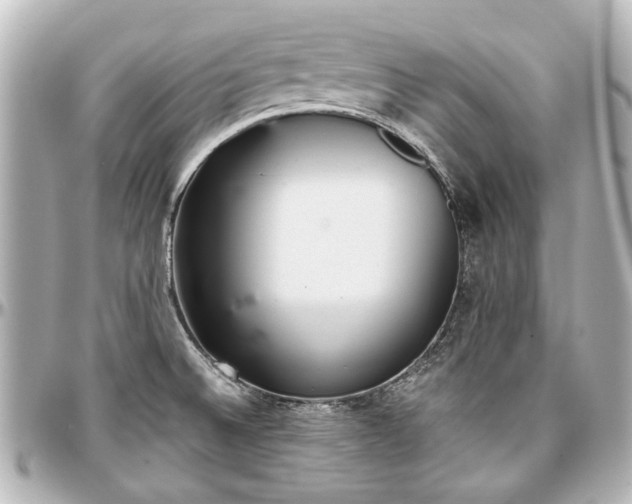 X0000097291524200802221300
