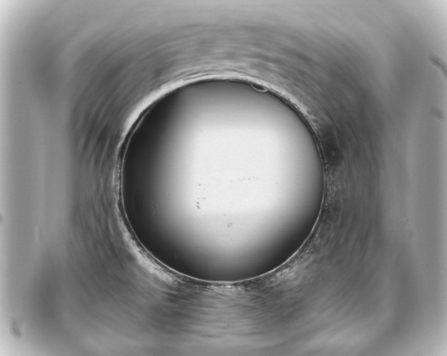 X0000097291526200802221300