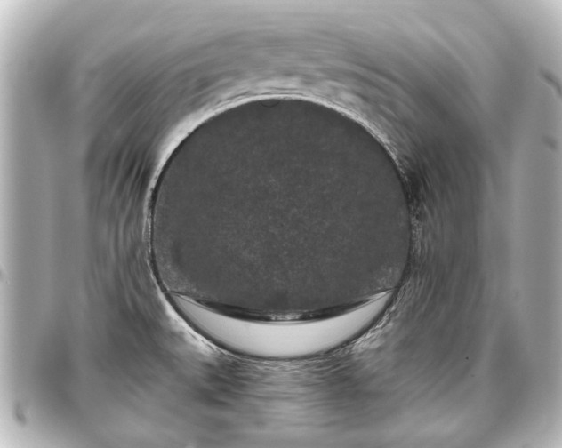 X0000097291527200802221300