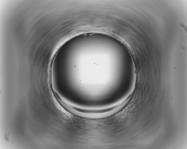 X0000097291528200802221300