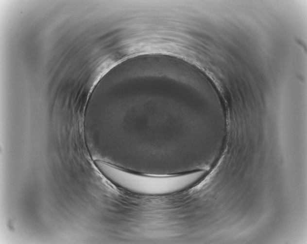 X0000097291529200802221300