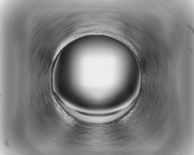 X0000097291530200802221300