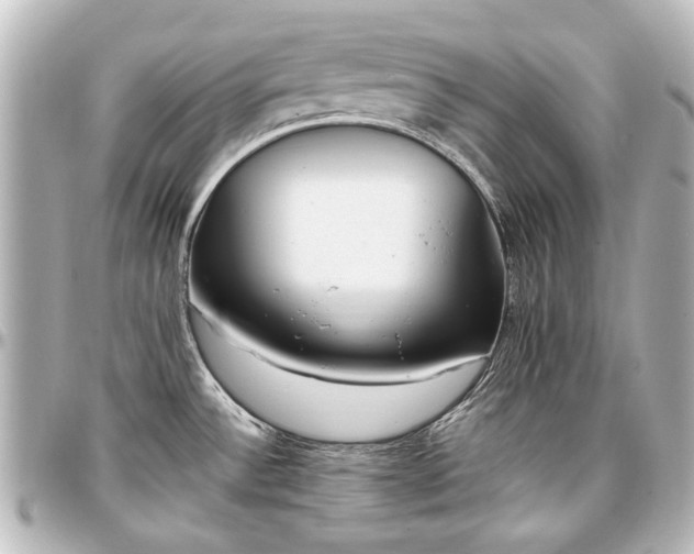 X0000097291532200802221300