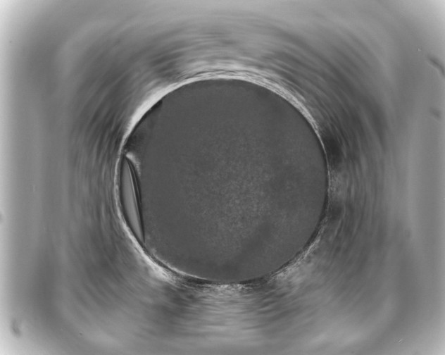 X0000097291533200802221300