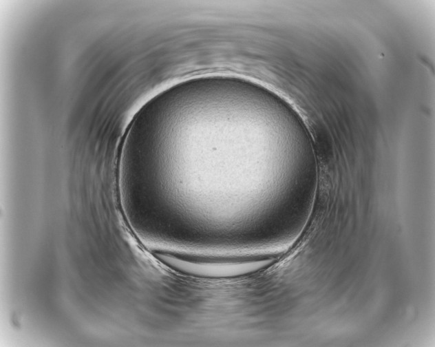 X0000097291534200802221300
