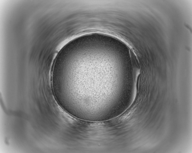 X0000097291535200802221300