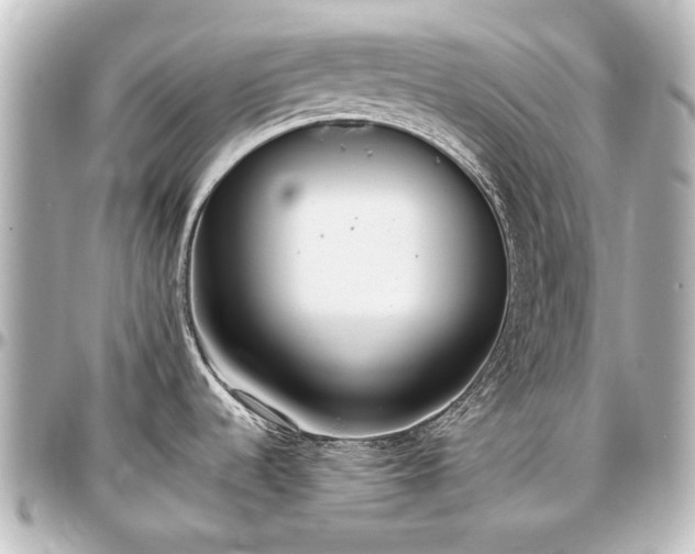 X0000097291536200802221300