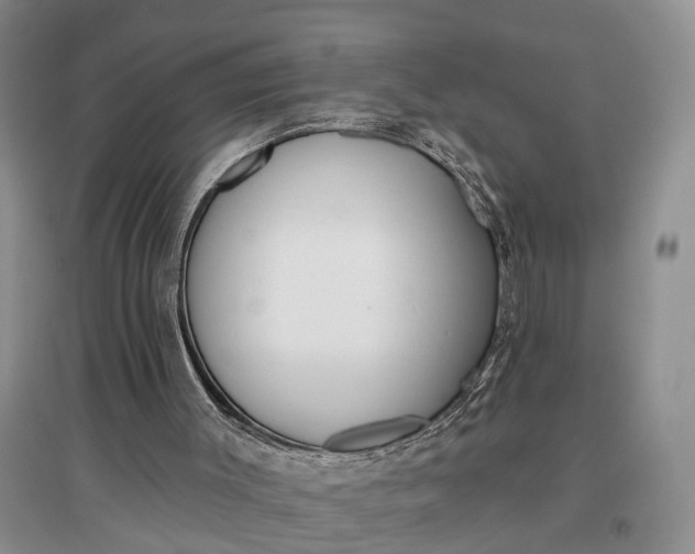 X0000097290003200802291801