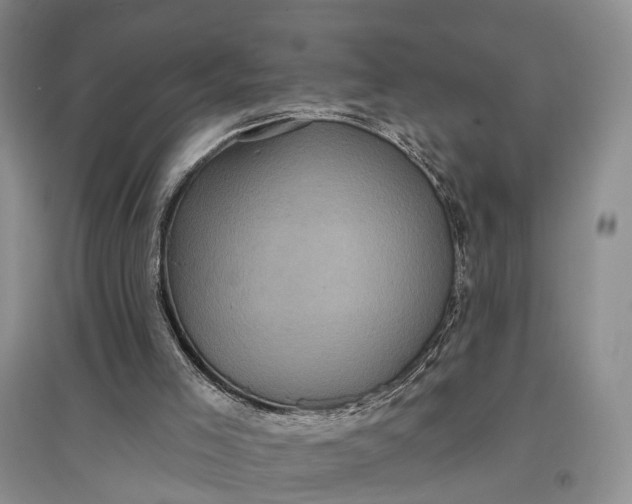X0000097290005200802291801