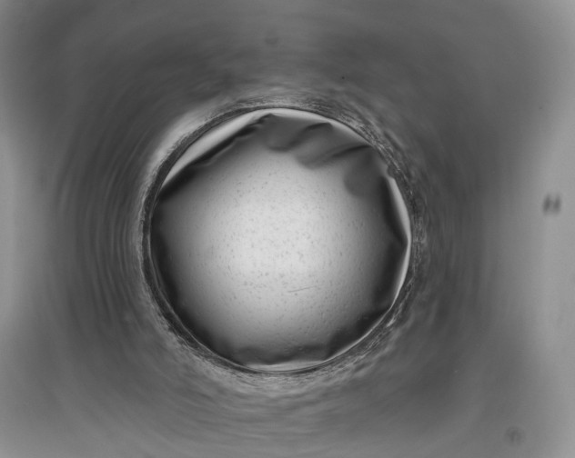 X0000097290006200802291801
