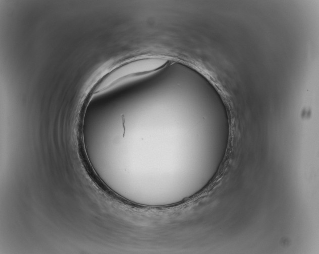 X0000097290007200802291801