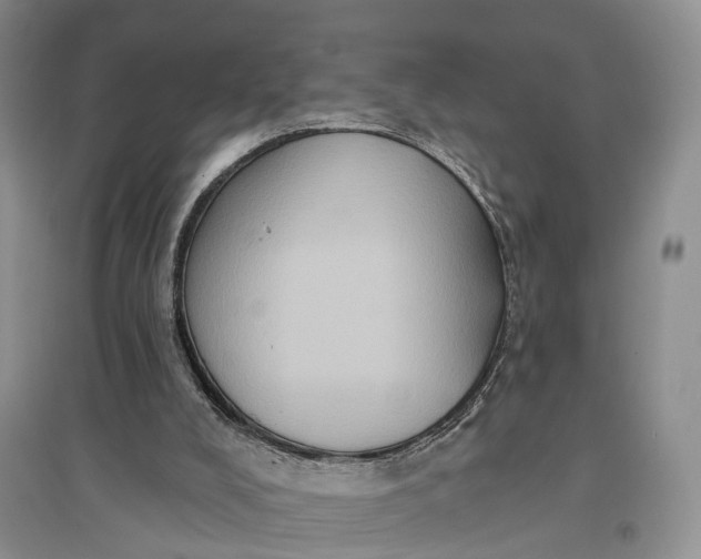X0000097290008200802291801