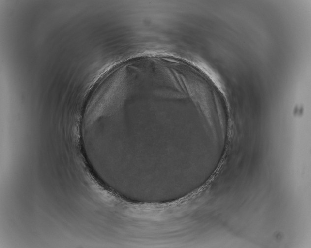 X0000097290009200802291801