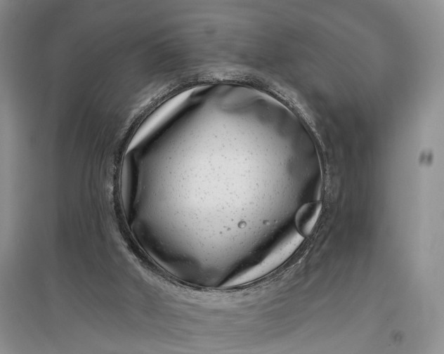 X0000097290010200802291801