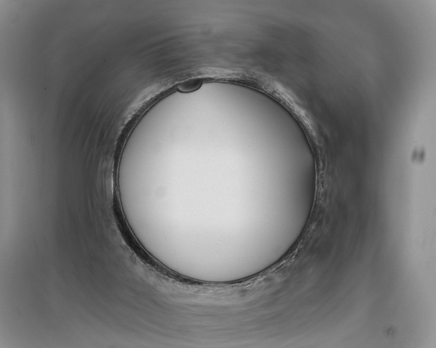 X0000097290011200802291801
