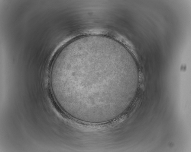 X0000097290012200802291801