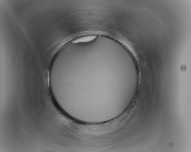 X0000097290013200802291801