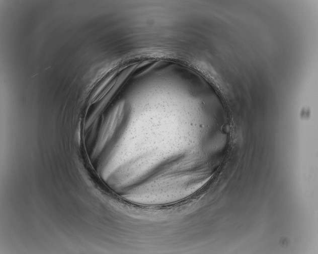 X0000097290014200802291801