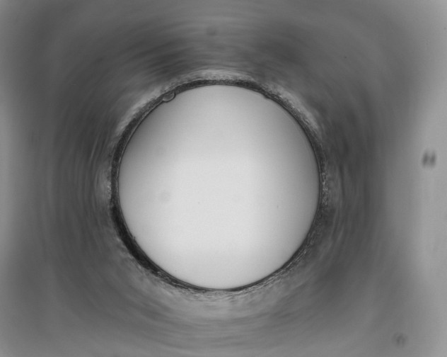 X0000097290015200802291801